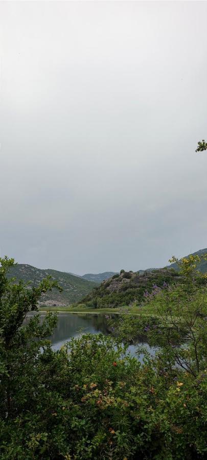 Old House, Skadar Lake Cetinje Exteriér fotografie